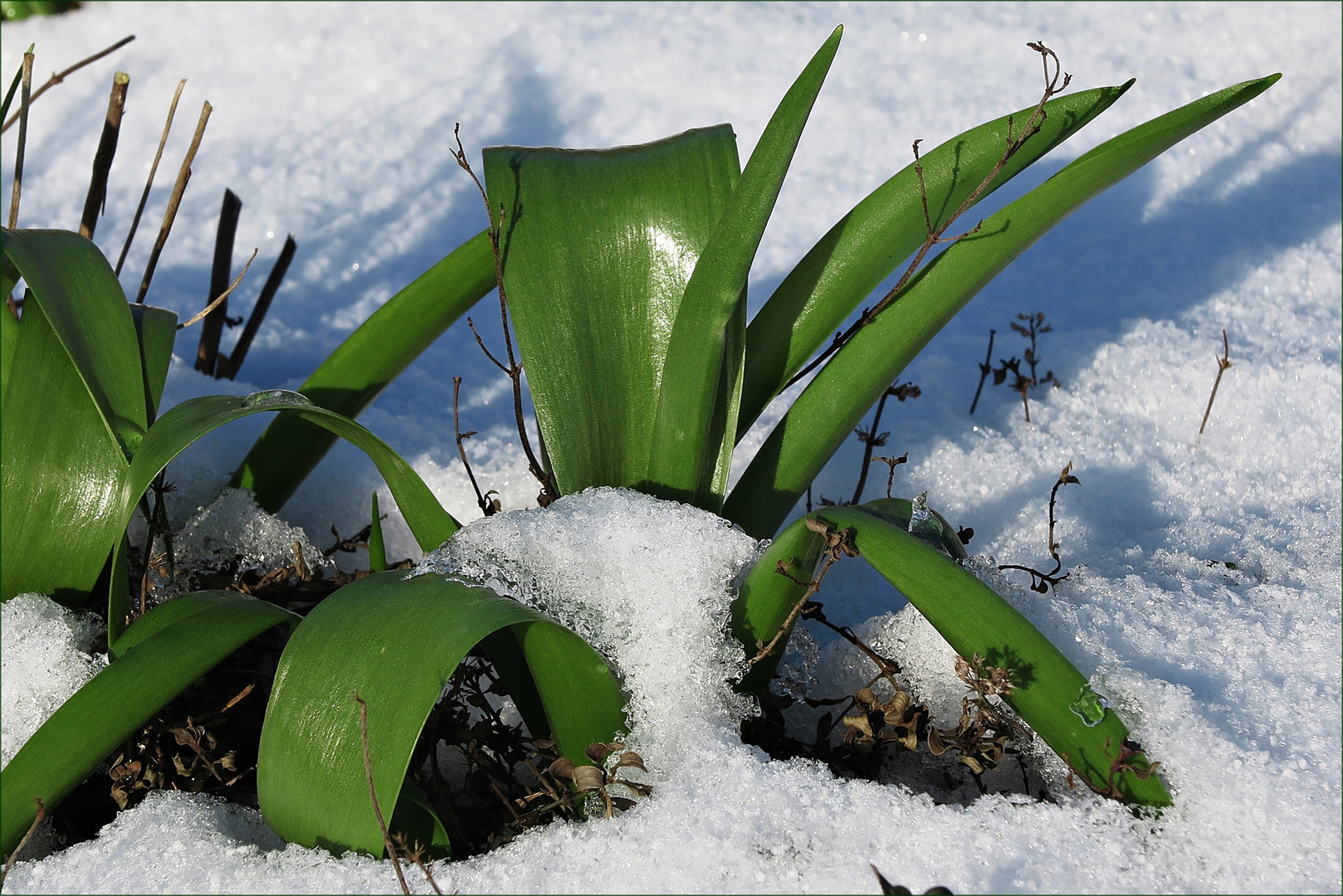 Kombination von Winter und Frühling