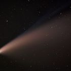 Komet C 2020 F3 Neowise 