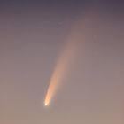 Komet NEOWISE am 07.07.2020
