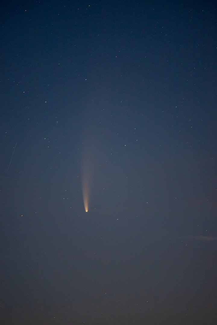 Komet Neowise am Morgenhimmel