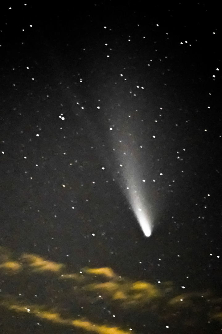 Komet Neowise Detail