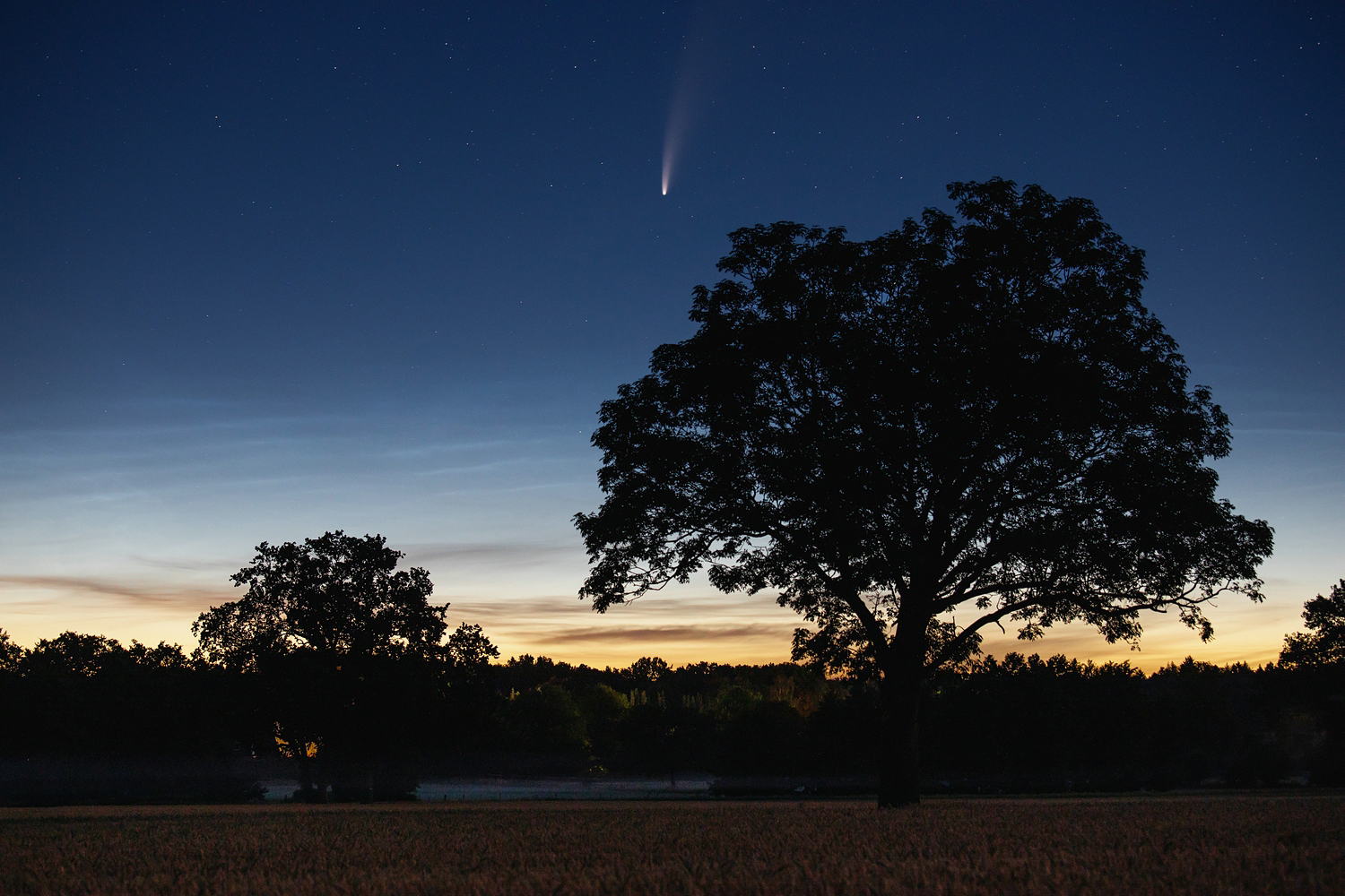 Komet Neowise "über" Norddeutschland