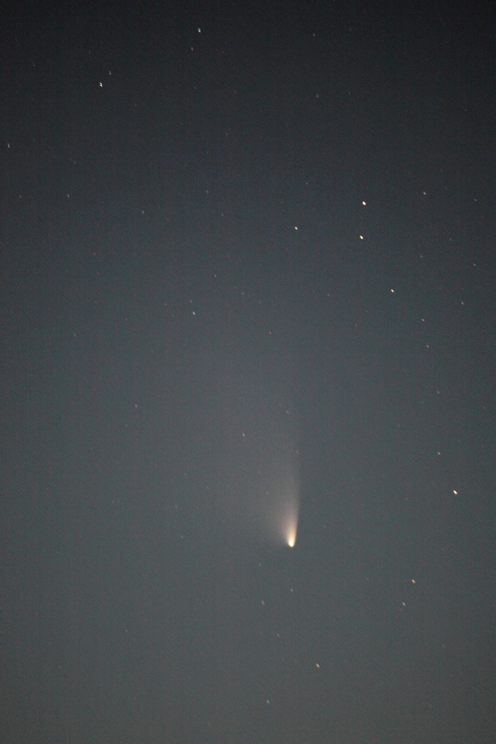 Komet Panstarrs am 20. 3. 2013