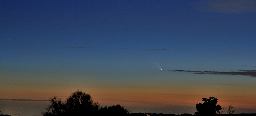 Komet Panstarrs am Abendhimmel