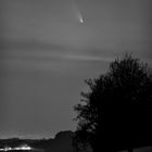 Komet Panstarrs (C/2011 L4) III