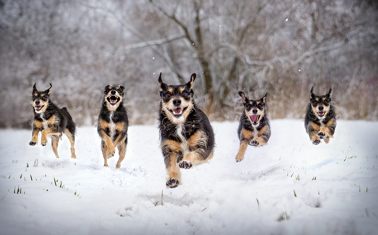 Komische Dinge macht der Schnee mit Herrn Kalle