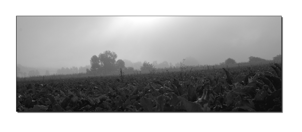 komische Landschaft,