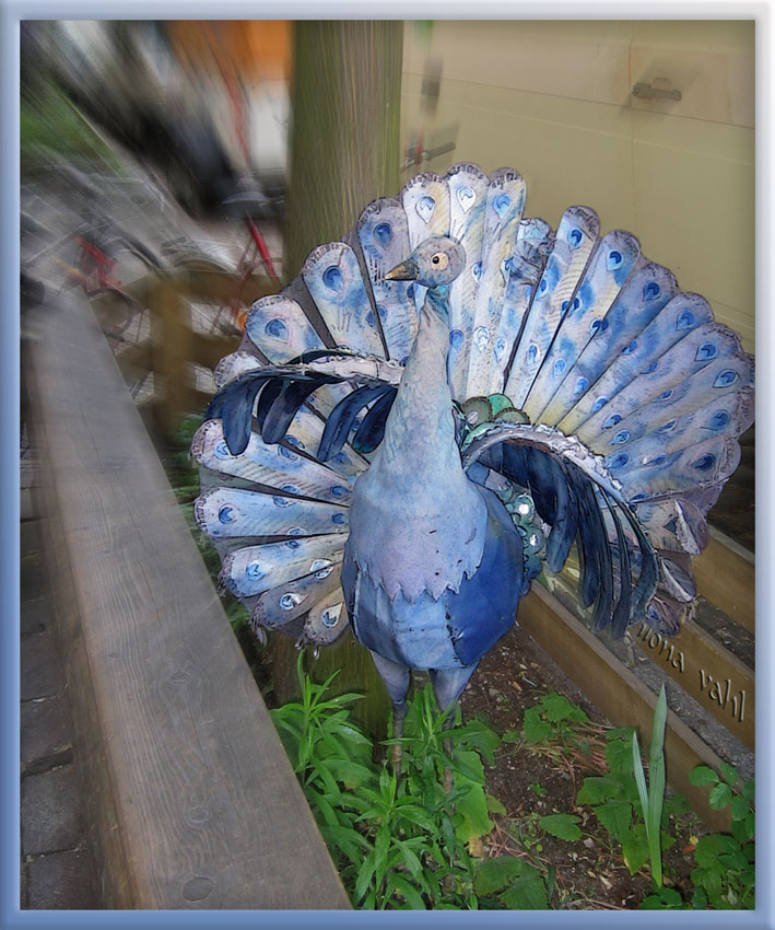 Komische Vögel gibt's in Kreuzberg! ;o)