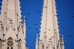 komische Vögel in Görlitz