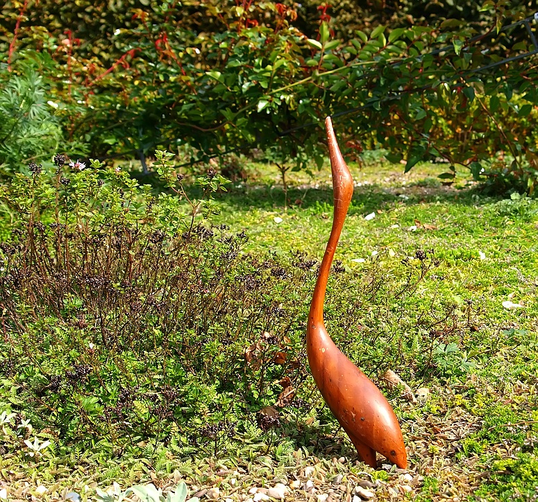 Komischer Vogel