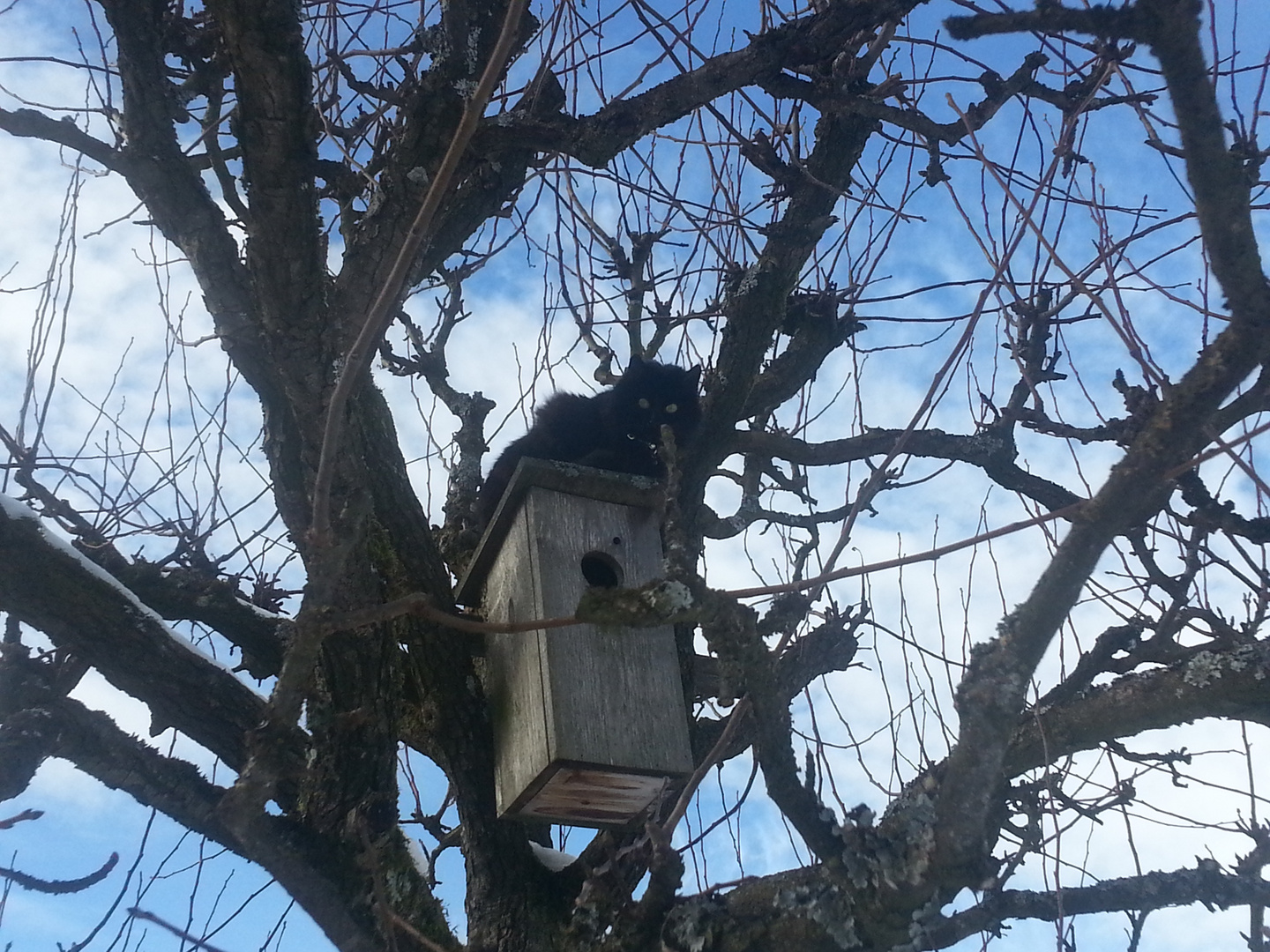 Komischer Vogel :-)