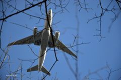 Komischer Vogel im Landeanflug