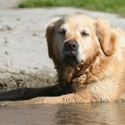 Komm doch auch in die Wanne, Schatz!