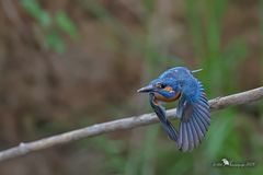 Komm doch mal rüber...!