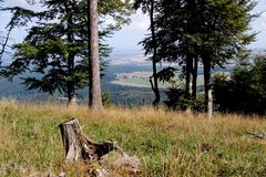 Komm doch mit in den Thüringer Wald, in den herrlichen Thüringer Wald…