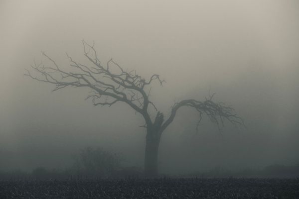 …komm doch näher…