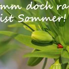 Komm doch raus, es ist Sommer!