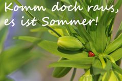 Komm doch raus, es ist Sommer!