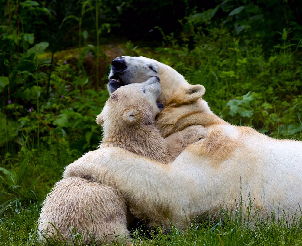 komm her, ich hab Dich auch lieb....