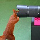 Komm ich jetzt ins Fernsehen?