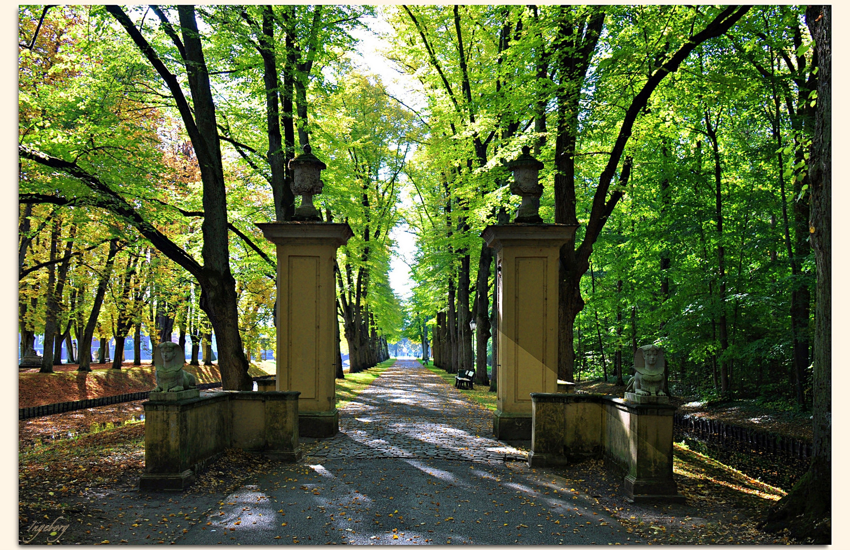 Komm in den totgesagten Park