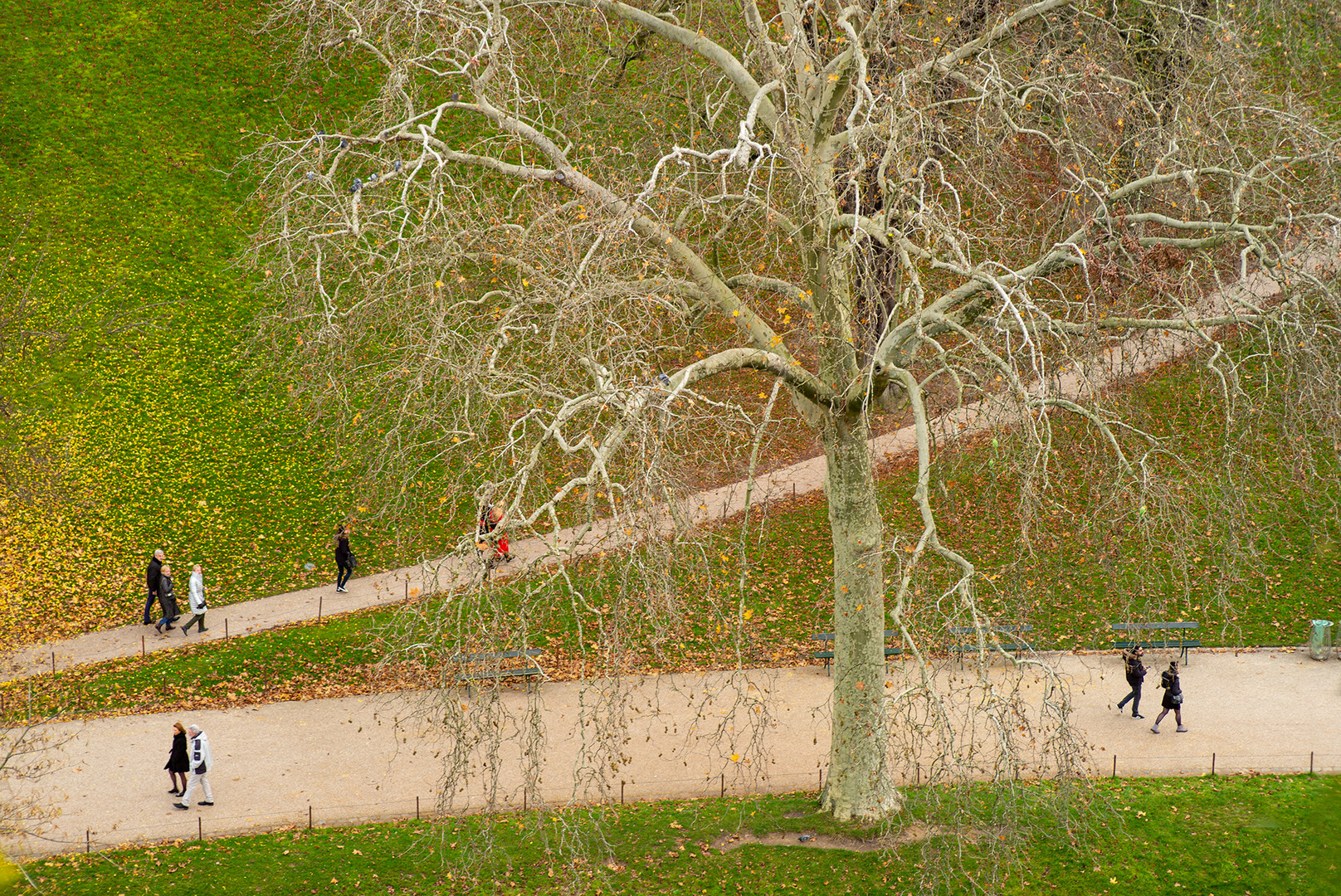 Komm in den totgesagten park und schau