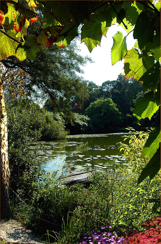 Komm in den totgesagten Park - und schau!