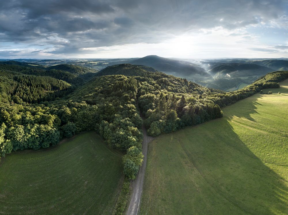 Komm in den Wald (Version 2)