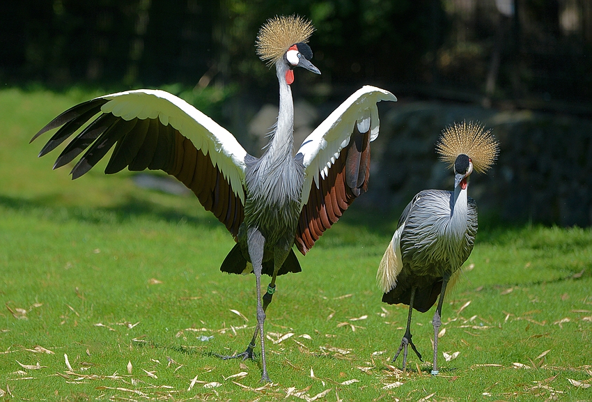 Komm, kleines Schnuckelchen Foto & Bild | tiere, zoo Komm, kleines Schnuckelchen Foto & Bild | tiere, zoo