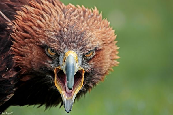 komm mir nicht zu nahe.....