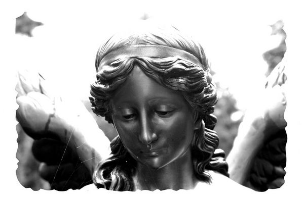 Komm mit mir ins Licht .....................