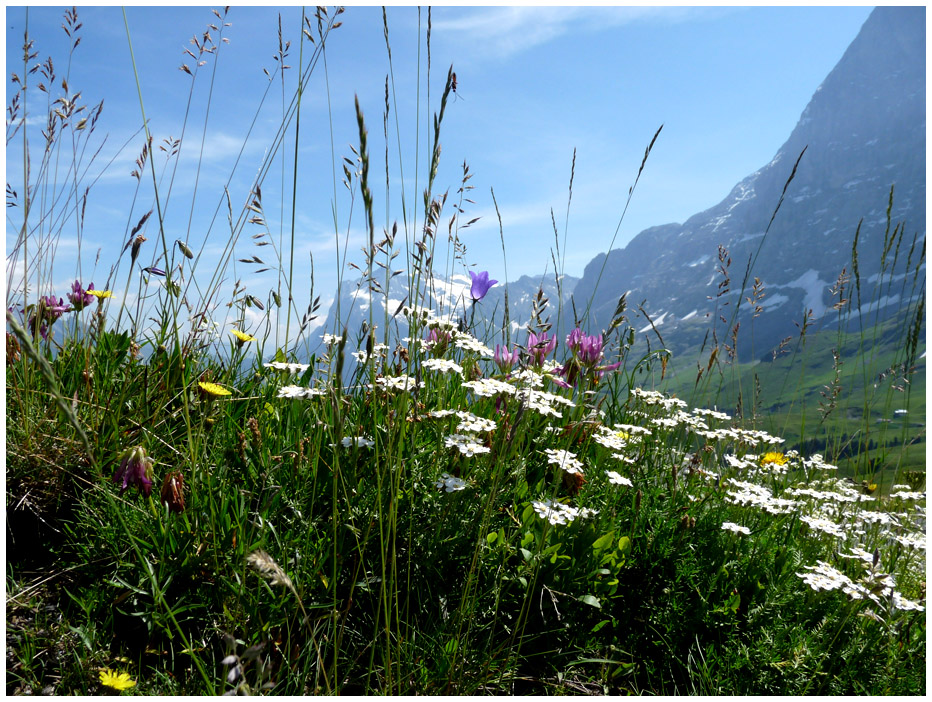 Komm mit!  Nr. 10 Berner Oberland