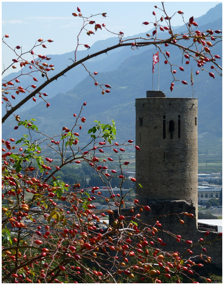 Komm mit!  Nr. 11 Martigny