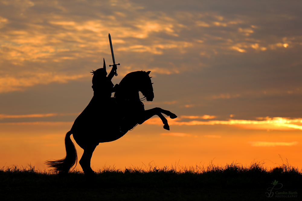 Komm nicht zwischen den Nazgul und seine Beute