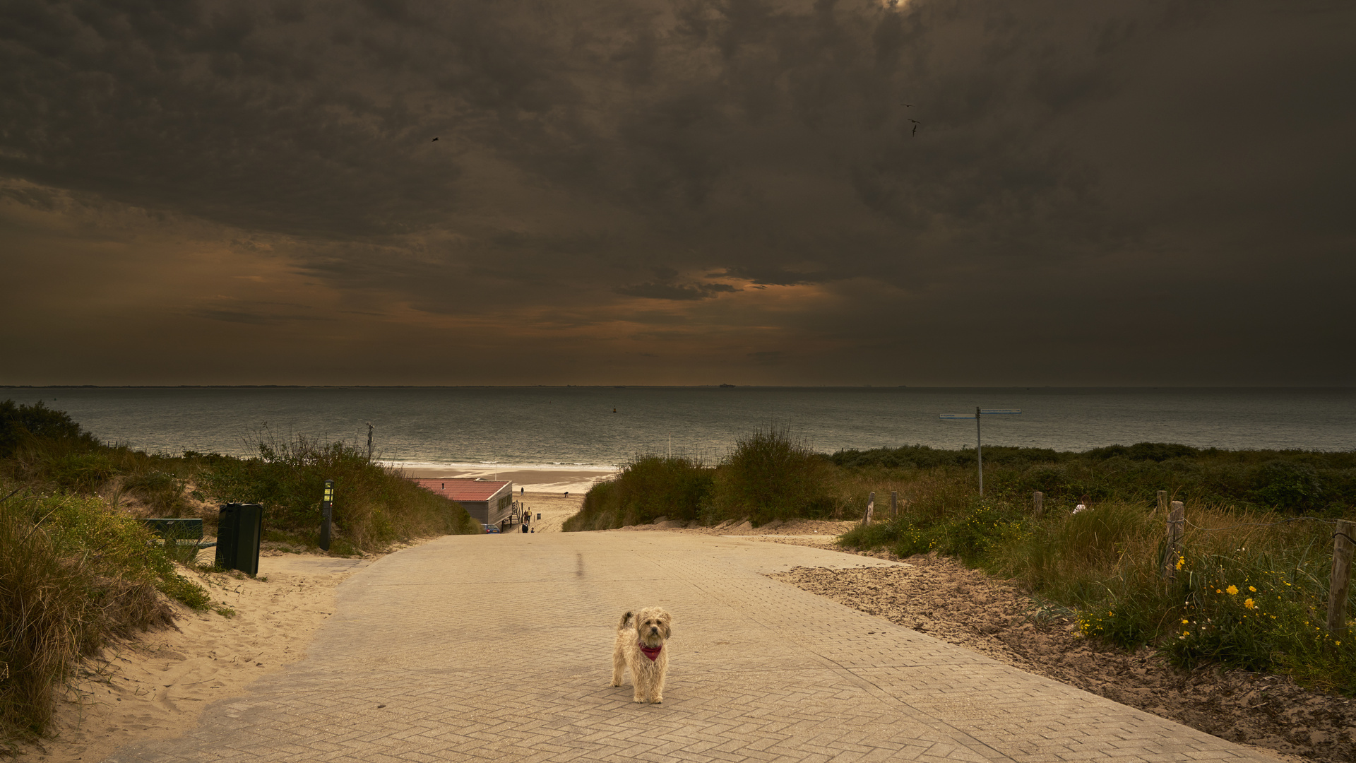 Komm' schon... Foto & Bild tiere, haustiere, landschaft Bilder auf