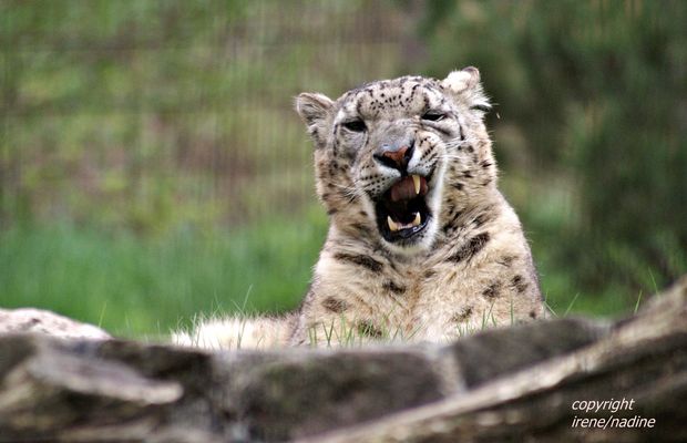 Komm schon ... Du willst es doch auch ...