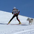 komm, sei so lieb und lauf !