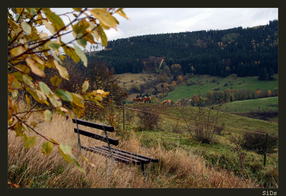 "Komm, setz Dich und schau"