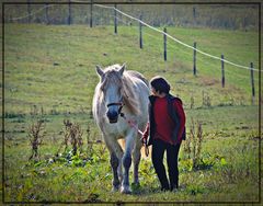 Komm, wir gehn ne Runde reiten :)