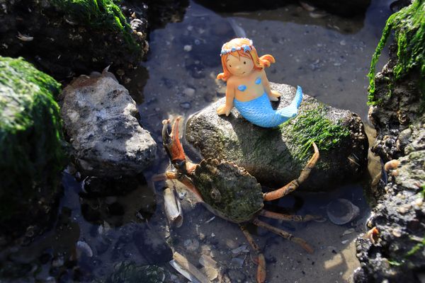 Komm, wir müssen los! Das Meer braucht uns!