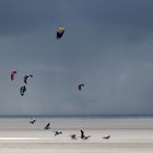 kommen, gehen und fliegen