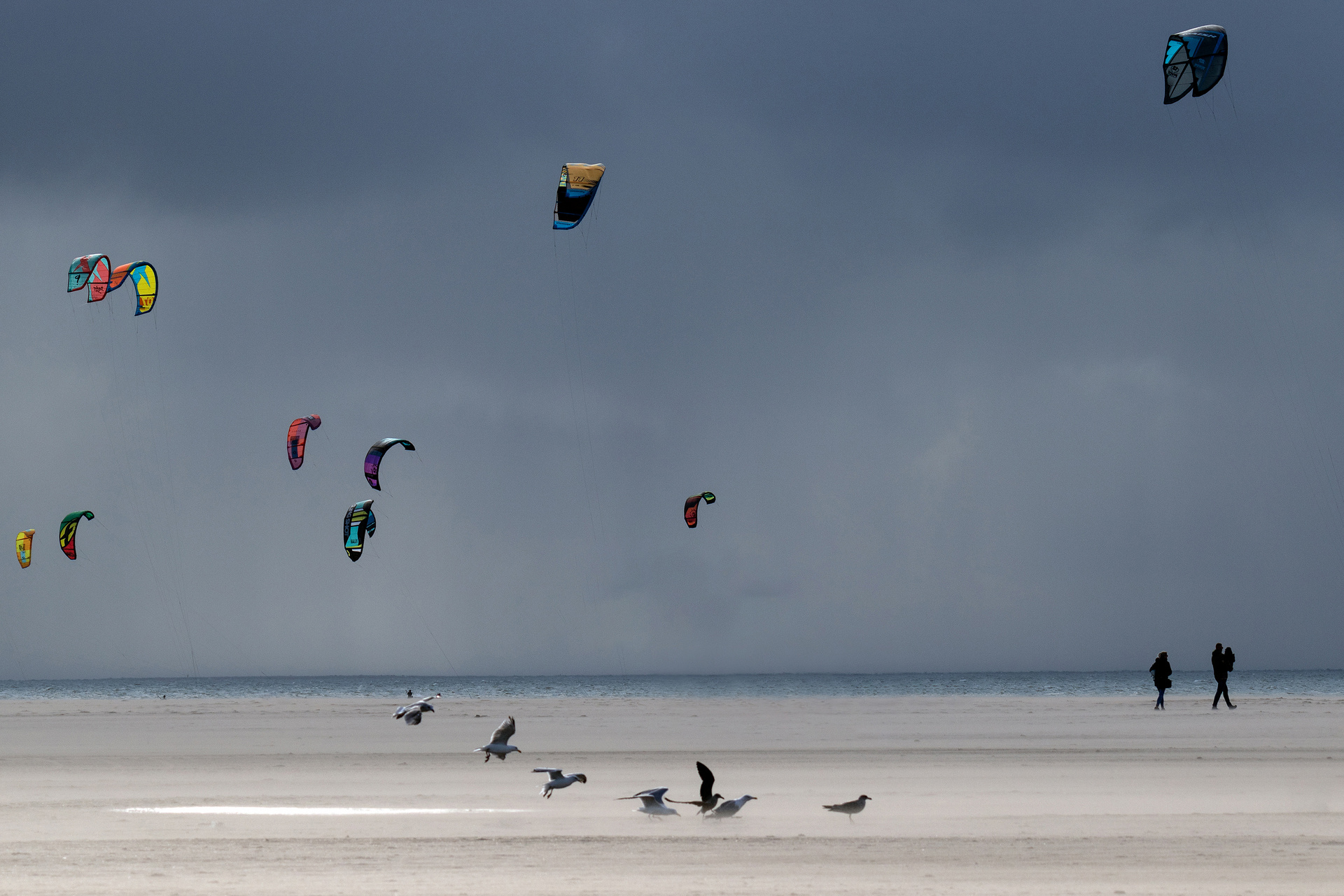 kommen, gehen und fliegen