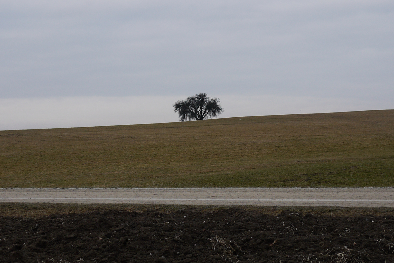 kommender Frühling