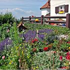 Kommet all' in meinen Garten