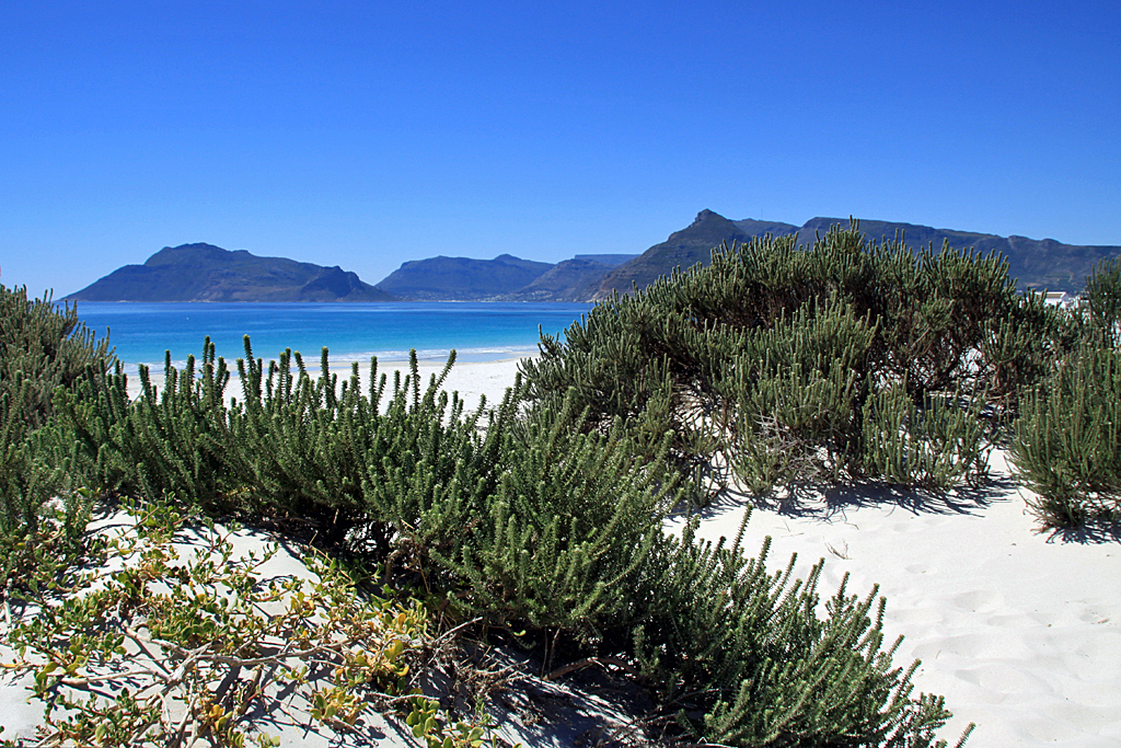 Kommetjie Beach, South Africa