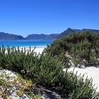 Kommetjie Beach, South Africa