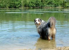 Kommst Du mit ins Wasser?