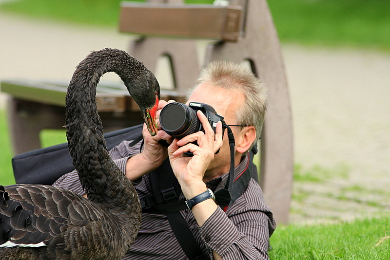 Kommt da auch ein Schwan raus......