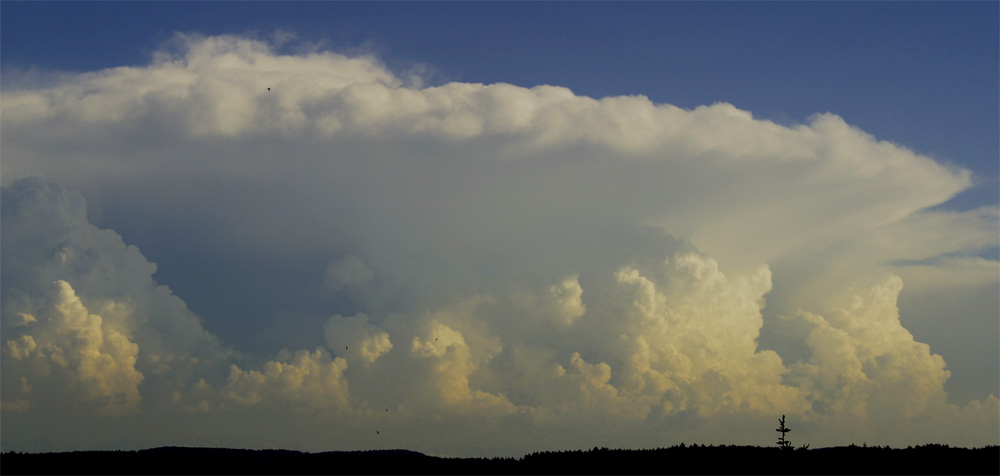 Kommt das Gewitter?