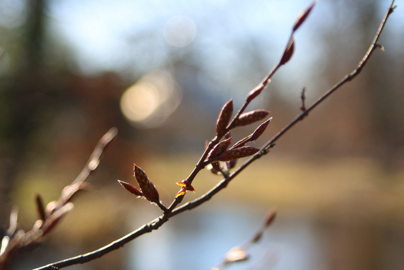 Kommt der Frühling?